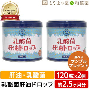 乳酸菌肝油ドロップ オレンジ風味 120粒 2個セット | 肝油ドロップ 国産 子供 目のサプリ ビタミンA 乳酸菌 鮫肝油 西海製薬 サプリ プレゼント 肝油ドロップ 国産 目のサプリ 健康食品 サプリ