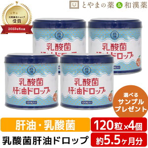 \レビュー特典あり/ 乳酸菌肝油ドロップ オレンジ風味 120粒4個セット | 肝油ドロップ 国産 子供 目のサプリ ビタミンD ビタミンC ビタミンA 乳酸菌 鮫肝油 受験生 ビタミン剤 栄養補助食品