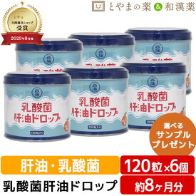 【レビューキャンペーン実施】乳酸菌肝油ドロップ オレンジ風味 120粒 6個セット | 肝油ドロップ 国産 子供 目のサプリ ビタミンD ビタミンC ビタミンA 乳酸菌 鮫肝油 受験生 ビタミン剤 栄養補助食品 西海製薬 サプリ 敬老 敬老の日 ギフト 健康食品 サプリメント 食事 肌