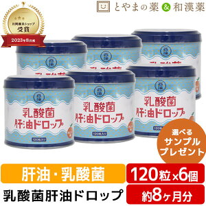 乳酸菌肝油ドロップ オレンジ風味 120粒 6個セット | 肝油ドロップ 国産 子供 目のサプリ ビタミンD ビタミンC ビタミンA 乳酸菌 鮫肝油 受験生 ビタミン剤 栄養補助食品 西海製薬 サプリ 敬老