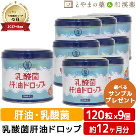 【レビューキャンペーン実施】乳酸菌肝油ドロップ オレンジ風味 120粒 9個セット | 肝油ドロップ 国産 子供 目のサプリ ビタミン 乳酸菌 鮫肝油 受験生 栄養補助食品 サプリ 健康食品 サプリメント おすすめサプリ 母の日ギフト 母の日 かんゆ 肝油 肝油 ドロップ 肝油 子供