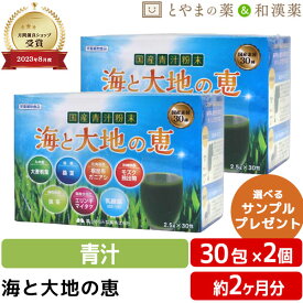 【レビューキャンペーン実施】海と大地の恵 30包 2個セット | 青汁 青汁粉末 大麦若葉青汁 酵素ドリンク 無添加 根昆布粉末 根昆布 国産 飲みやすい 無農薬 大麦若葉 桑の葉 宇治抹茶 エリンギ 乳酸菌 抹茶 ギフト 健康食品 サプリ サプリメント 食事で不足 健康 昆布