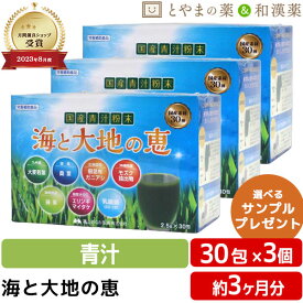 【レビューキャンペーン実施】海と大地の恵 30包 3個セット | 青汁 青汁粉末 大麦若葉青汁 酵素ドリンク 無添加 根昆布粉末 根昆布 国産 飲みやすい 無農薬 大麦若葉 桑の葉 宇治抹茶 エリンギ マイタケ きのこ 乳酸菌 抹茶 敬老の日 ギフト サプリ サプリメント 食事で不足