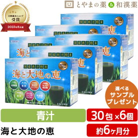 【レビューキャンペーン実施】海と大地の恵 30包 6個セット | 青汁 青汁粉末 大麦若葉青汁 酵素ドリンク 無添加 根昆布粉末 根昆布 国産 飲みやすい 無農薬 大麦若葉 桑の葉 宇治抹茶 乳酸菌 抹茶 ギフト サプリメント 食事で不足 健康 敬老の日 お中元 海 昆布 おいしい青汁