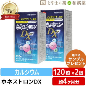 【レビューキャンペーン実施】 ホネストロンDX 120粒 2個セット | カルシウム マグネシウム 骨 プロテタイト ボーンペップ マンゴスチン 大豆イソフラボン 大豆胚芽 みかん サプリ 健康 サプリメント 男性 女性 プレゼント 敬老 健康食品 敬老の日 ギフト 食事で不足 階段