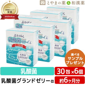 ＼レビュー特典あり／ 乳酸菌グランドゼリーα 30包 6個セット | 広栄ケミカル 乳酸菌 人由来 ラクトフェリン ビタミン 低カロリー ゼリー スティック スティックゼリー サプリ LFK ビューティー 腸 男性 女性 美容 メンズ 健康食品 お中元 敬老の日 サプリメント 食事で不足