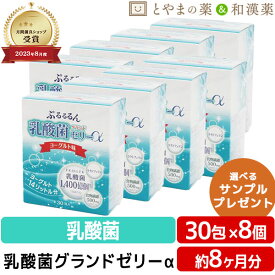 乳酸菌グランドゼリーα 30包 8個 | 広栄ケミカル 乳酸菌 人由来 ラクトフェリン ビタミン 食物繊維 低カロリー ゼリー スティック スティックゼリー サプリ LFK 健康 ビューティー サプリメント 男性 女性 美容 お中元 敬老の日 健康食品 父の日ギフト 健康食品 食事で不足