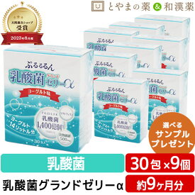 【レビューキャンペーン実施】乳酸菌 グランドゼリーα 30包 9個セット | 広栄ケミカル 人由来 ラクトフェリン ビタミン 低カロリー ゼリー スティック スティックゼリー LFK 健康 ビューティー 男性 女性 美容 メンズ レディース サプリ 健康食品 ギフト サプリメント