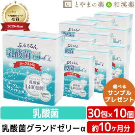【レビューキャンペーン実施】乳酸菌 グランド ゼリー α 30包 10個セット | 広栄ケミカル 腸活 人由来 ラクトフェリン ビタミン 食物繊維 低カロリー サプリ スティック スティックゼリー LFK 健康 ビューティー サプリメント 男性 女性 美容 敬老の日 ギフト 健康食品