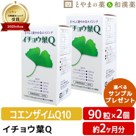 【レビューキャンペーン実施】ダイト イチョウ葉 Q 90粒入 2個セット | ハープシーオイル ルテイン コエンザイムQ10 エイジング サプリ サプリメント epa dha 目 カプセル イチョウ葉エキス マリーゴールド ビタミンe いちょう葉 敬老の日 ギフト 健康食品 食事で不足 健康