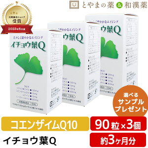 【レビューキャンペーン実施】ダイト イチョウ葉 Q 90粒入 3個 セット | ハープシーオイル ルテイン コエンザイムQ10 エイジング サプリ サプリメント epa dha 目 カプセル イチョウ葉エキス マ