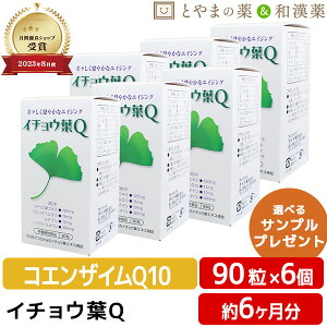 yr[Ly[{z_Cg C`Et Q 90 6 Zbg | n[vV[IC eC RGUCQ10 GCWO Tv Tvg epa dha  JvZ C`EtGLX }