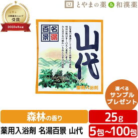 名湯百景 山代 温泉 薬用入浴剤 (医薬部外品) 入浴剤 風呂 お風呂 ふろ お試し ギフト プレゼント バスソルト 個包装 分包 便利 富山の常備薬 温浴 日本製 小袋 疲労 回復 ポッキリ 1000円 アソート ぽっきり 温泉の素 入浴剤 名湯 温泉の素 ギフト 母の日ギフト 母の日