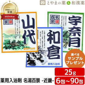 ＼レビュー特典あり／ 名湯百景 和倉 山代 宇奈月 温泉 薬用入浴剤 (医薬部外品) 入浴剤 風呂 ふろ お試し ギフト プレゼント バスソルト 個包装 分包 便利 温浴 疲労 回復 富山 北陸 石川 能登 加賀 日本の名湯 ぽっきり アソート ポッキリ入浴剤 お中元 敬老の日
