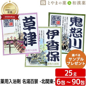 \レビュー特典あり/ 名湯百景 草津 伊香保 鬼怒川 入浴剤 温泉 薬用入浴剤 (医薬部外品) 風呂 お試し 疲労 回復 ポッキリ入浴剤 にごり 温泉の素 詰め合わせ 入浴剤セット 福袋 御礼 プチギ