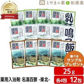 名湯百景 乳頭 鳴子 飯坂 温泉 薬用入浴剤 (医薬部外品) 12包 入浴剤 風呂 お試し ギフト プレゼント バスソルト 個包装 分包 便利 常備薬 温浴 日本製 小袋 疲労 回復 秋田 宮城 福島 名泉 奥州三名湯 ぽっきり1000円 アソート ポッキリ入浴剤