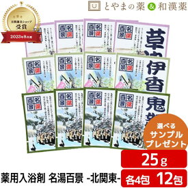 ＼セール最大半額！／ 名湯百景 草津 伊香保 鬼怒川 温泉 薬用入浴剤 (医薬部外品) 12包 入浴剤 風呂 ポッキリ入浴剤 詰め合わせ 入浴剤セット 名湯 福袋 プチギフト プレゼント アソート 入浴剤 ギフト 温泉の素 入浴剤 温泉 入浴剤 詰め合わせ 名湯百景 バス 日本の名湯