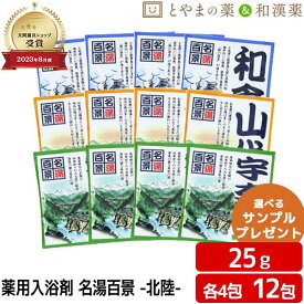 名湯百景 和倉 山代 宇奈月 温泉 薬用入浴剤 (医薬部外品) 12包 入浴剤 風呂 お試し 入浴剤 個包装 ポッキリ入浴剤 にごり 温泉の素 詰め合わせ 入浴剤セット 名湯 福袋 御礼 プチギフト プレゼント 温浴 温泉の素 入浴剤 ギフト 入浴剤 温泉 小分け