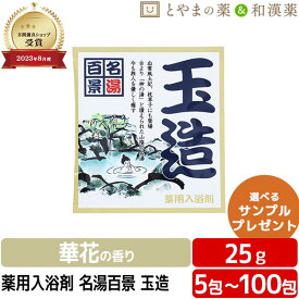 名湯百景 玉造 温泉 薬用入浴剤 (医薬部外品) 入浴剤 お試し 温浴 入浴剤 風呂 お試し 疲労 回復 ポッキリ入浴剤 にごり 詰め合わせ 入浴剤セット 福袋 御礼 プチギフト プレゼント 温浴 母の日ギフト アソート 母の日 温泉の素 入浴剤 ギフト 入浴剤 温泉 入浴剤 名湯