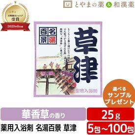 名湯百景 草津 温泉 薬用入浴剤 (医薬部外品) 入浴剤 風呂 お風呂 お試し ギフト プレゼント バスソルト 個包装 分包 便利 温浴 小袋 疲労 回復 名湯 湯もみ ぽっきり アソート ポッキリ入浴剤 温泉の素 草津温泉 草津温泉の素 草津温泉のもと 詰め合わせ お中元 敬老の日