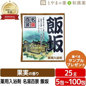 名湯百景 飯坂 温泉 薬用入浴剤 (医薬部外品) 入浴剤 風呂 お風呂 お試し ギフト プレゼント バスソルト 個包装 分包 便利 温浴 バス 小袋 疲労 回復 福島 東北 ぽっきり アソート ポッキリ入浴剤