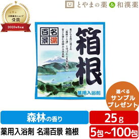名湯百景 箱根 温泉 薬用入浴剤 (医薬部外品) 入浴剤 お風呂 お試し ギフト プレゼント 個包装 分包 富山の常備薬 温浴 小袋 疲労 回復 ぽっきり1000円 アソート ポッキリ入浴剤 母の日 温泉の素 入浴剤 入浴剤 ギフト バス 入浴剤 温泉 入浴剤 名湯 温泉の素 入浴剤