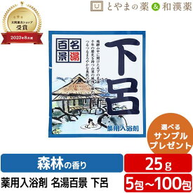 ＼レビュー特典あり／ 名湯百景 下呂 温泉 薬用入浴剤 (医薬部外品) 入浴剤 風呂 お試し 疲労 回復 ポッキリ入浴剤 にごり 温泉の素 詰め合わせ 入浴剤セット 名湯 福袋 御礼 プチギフト 温浴 アソート 温泉の素 入浴剤 ギフト 入浴剤 温泉 名湯 お中元 敬老の日 プレゼント