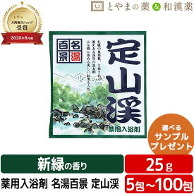 ＼レビュー特典あり／ 名湯百景 定山渓 温泉 薬用入浴剤 (医薬部外品) 入浴剤 お風呂 ふろ お試し ギフト プレゼント 個包装 分包 富山の常備薬 温浴 バス 日本製 北海道 札幌 小袋 疲労 回復 ぽっきり1000円 ぽっきり アソート ポッキリ入浴剤 お歳暮 クリスマス お正月