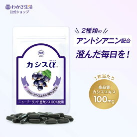 カシス 【 わかさ生活 カシスα 】 サプリメント サプリ カシスサプリ アントシアニン カシス100% カシスエキス ナノカシス ビタミンC ビタミンB1 鉄 亜鉛 紫外線 美容 健康 カシス種子油 亜麻仁油 プレゼント 1袋31粒入り 2袋から送料無料