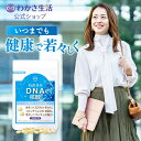 【ポイント5倍】わかさのDNA核酸 1袋62粒入り 【 わかさ生活 公式 】 DNA タブレット サプリ サプリメント DNAサプリ …