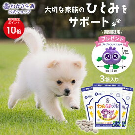 【ポイント10倍】わんにゃブル 3袋セット【 わかさ生活 公式 】 ペット 犬 犬用 猫 猫用 サプリ サプリメント アントシアニン ブルーベリー ブルーベリーアイ ドッグフード フード タブレット おやつ チキン味 めやに 涙やけ シニア シニア犬 老犬 高齢 体調管理 アイケア