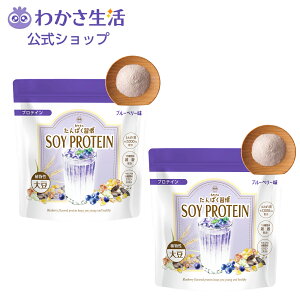 �킩���̂���ς��K�� 2�܃Z�b�g �g���C�A���Z�b�g �y �킩������ ���� �z �\�C �z�G�C �v���e�C�� �A��������ς��� �哤����ς��� �哤 ����ς��� ���^���p�N �ᓜ�� �ᎉ�� ��J�����[ 