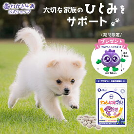 わんにゃブル 【 わかさ生活 公式 】 ペット 犬 犬用 猫 猫用 サプリ サプリメント アントシアニン ブルーベリー ビルベリー ブルーベリーアイ ドッグフード フード タブレット おやつ チキン味 めやに 涙やけ シニア シニア犬 老犬 高齢 体調管理 アイケア