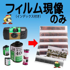 カメラ ネガフィルムの人気商品 通販 価格比較 価格 Com