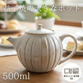 【MAX30%offクーポンあり】益子焼 Kinariまん丸ティーポット(大） 茶こし付き ティーポット 紅茶ポット 緑茶 ハーブティー お家カフェ ナチュラル アイボリー わかさま陶芸