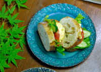 ��������۱׻Ҿƥ����������֥롼���������ץ졼���滮���礭�ᥳ���ҡ����å����Хȥ륳�֥롼����ꥢ��֥롼���襤�������������ƫ���¿���