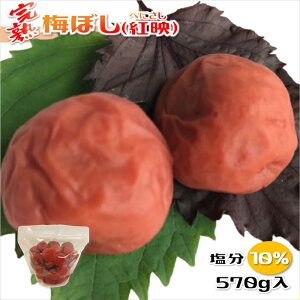 ~ ~ gf Y ς~ n~  T10% e 570g