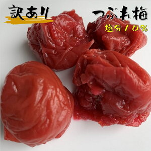 ~ 10% 󂠂 Ԃ~ KiOi ~ gf Y  e500g