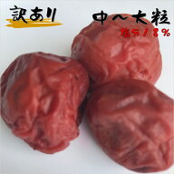 梅干し 塩分18% 訳あり 規格外品 福井梅 無添加 すっぱい梅干し 内容量500g