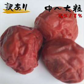 梅干し 塩分18% 訳あり 規格外品 福井梅 無添加 すっぱい梅干し 内容量500g