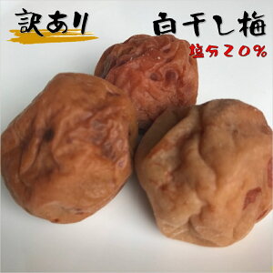 ~  20% ~ڂ 󂠂 KiOi ~ Y ς~ e500g
