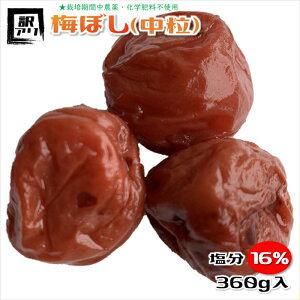 ~ _ 󂠂  16% ~ Y ς~ e360g