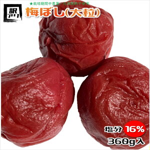 ~ _ 󂠂 嗱 16% ~ Y ς~ e360g