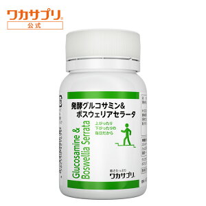 �y�����z���J�T�v�� �O���R�T�~�� 1������ �T�v�� �T�v�������g �A�N�e�B�u ���N ��X���� ���N�H�i �y������������