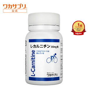 yzJTv L-Jj` 1 Jj` Tv Tvg _CGbg̉h{⋋ A~m_  -|_  RGUCQ10 Ƒ j  e