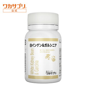 yzJTv CQKVjA 1 CQ KVjA Tvg _CGbg̉h{⋋ e j eTv Tv h{⏕ N 