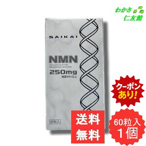 �y04/08����N�[�|������I�z SAIKAI NMN 60�� �j�R�`���A�~�h���m�k�N���I�`�h ���Ӟ����o���� ���C����
