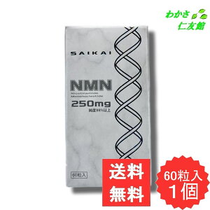 SAIKAI NMN 60 jR`A~hmkNI`h Ӟo C