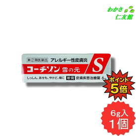 【04/20限定P5倍！】 コーチゾン雪の元S 6g 【指定第2類医薬品】 しっしん かゆみ あせも じ アレルギー性皮膚炎 疱疹状皮膚炎 あかぎれ かゆみ止め くさ しもやけ 凍傷 ひび 火傷 痔疾 あせも 虫さされ 皮膚そう痒症