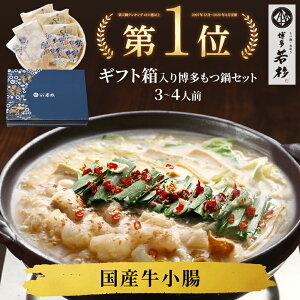 MtgBOXElΉᐙMtgZbg(3`4lO) yz c2 Yc ۂ˕t c   Mtg v[g 蕨 a j j 